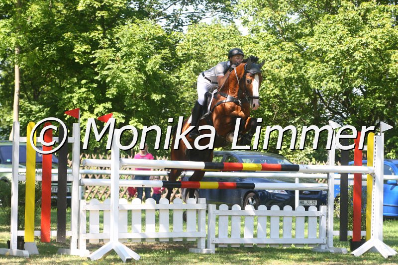 308M2009_Lanzarote_Spring Mxx.JPG